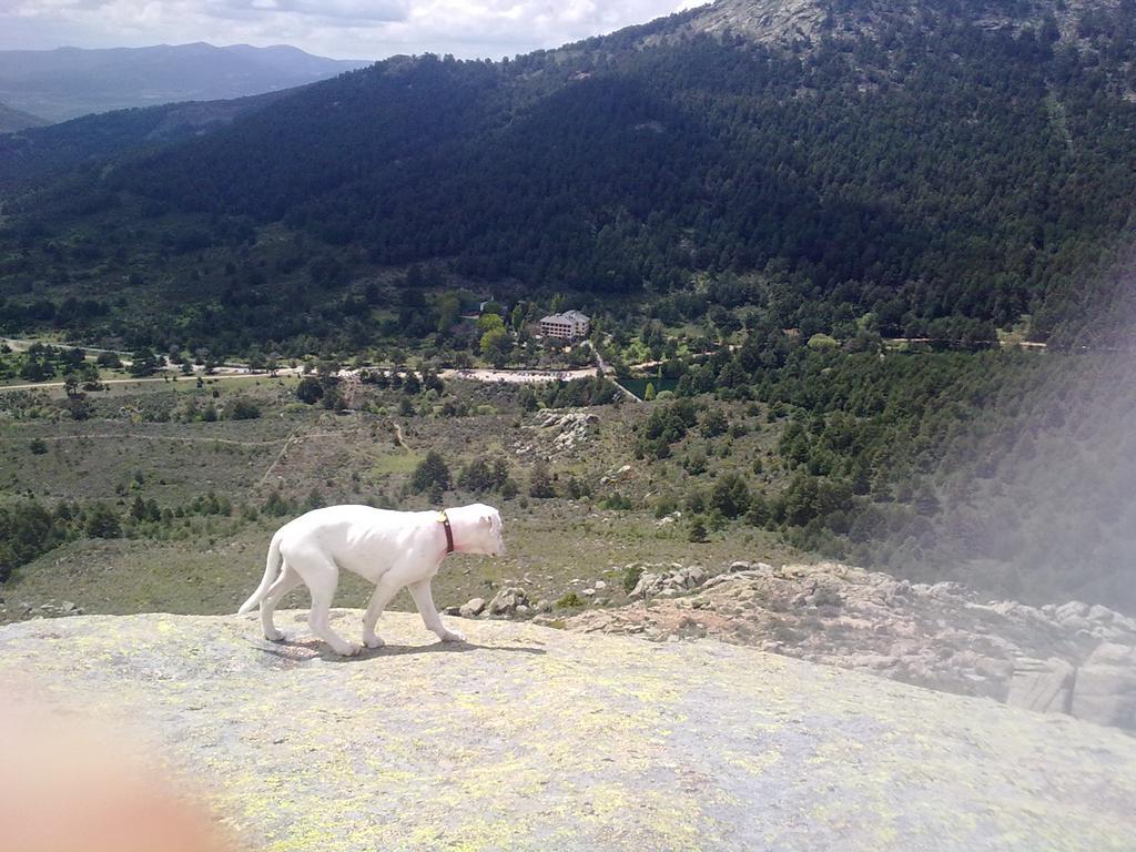 Hotel Rural Las Postas Navacerrada Bagian luar foto
